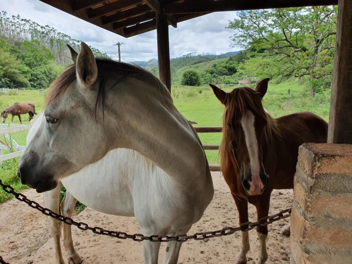 Espaco Casa Na Rocha São José dos Campos Zewnętrze zdjęcie